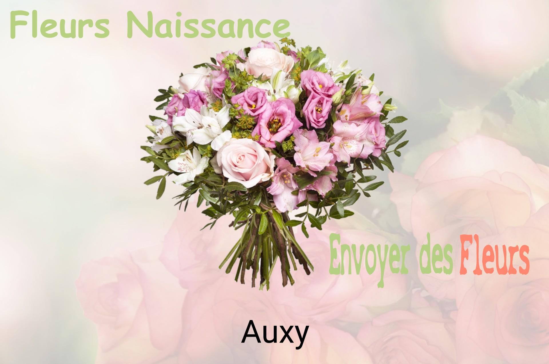 Bouquet de fleurs de naissance livré à Auxy